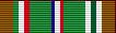 CampaignRibbon.jpg (1804 bytes)