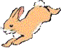 bunny70high.gif (2531 bytes)