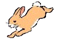 bunny.gif (2301 bytes)