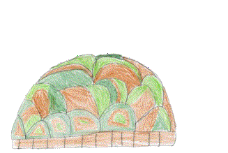 turtle.gif (1162236 bytes)
