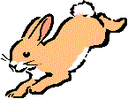 bunny.gif (2301 bytes)